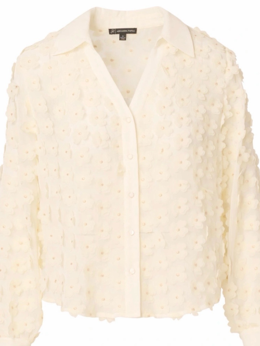 Adrianna Papell Cream 3D Floral Button-Down Shirt
